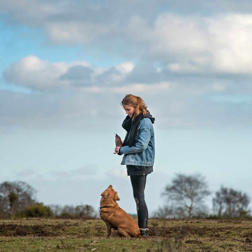 The Pet Business Wellbeing Mentor client The Pet Business Wellbeing Mentor client