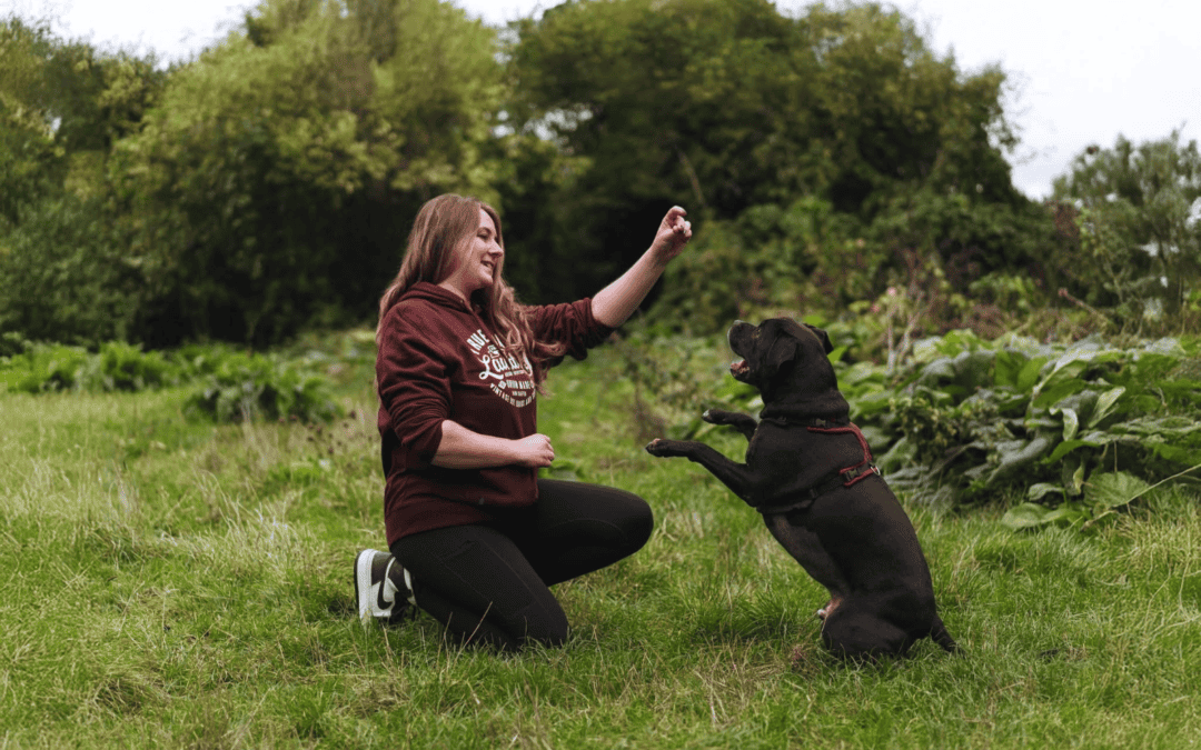 Boundaries for Dog Walkers: How to Protect Your Time Without Feeling Guilty