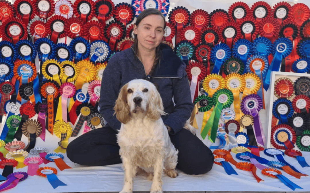 Neurodivergent Dog Professionals: Why Working With Your Brain Matters in Business