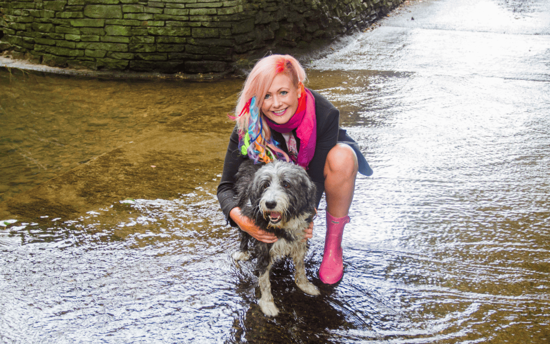 Work-Life Balance for Dog Walkers: How Better Structure Can Protect Your Wellbeing