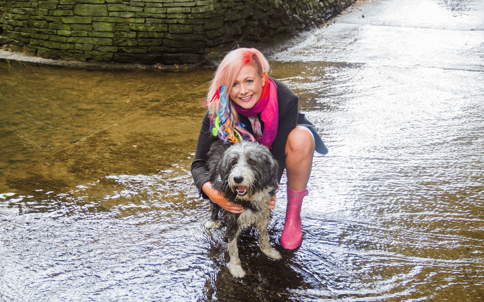 Work Life Balance for Dog Walkers How Better Structure Can Protect Your Wellbeing