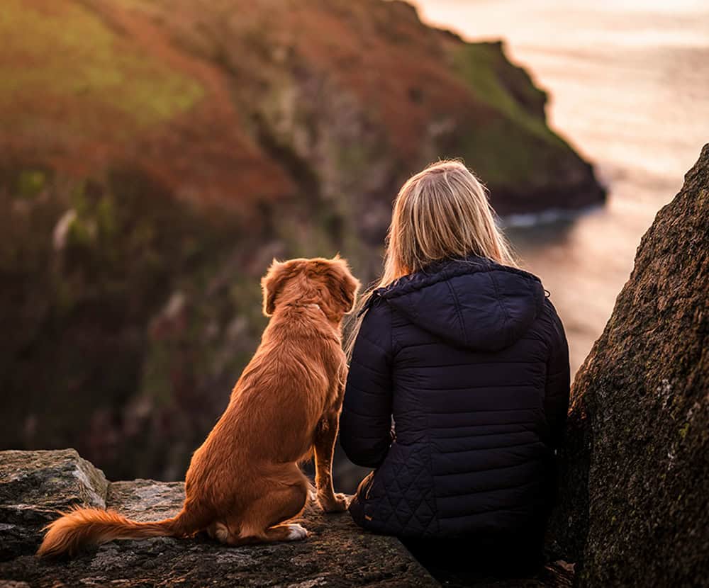 Dog trainer feeling overwhelmed
