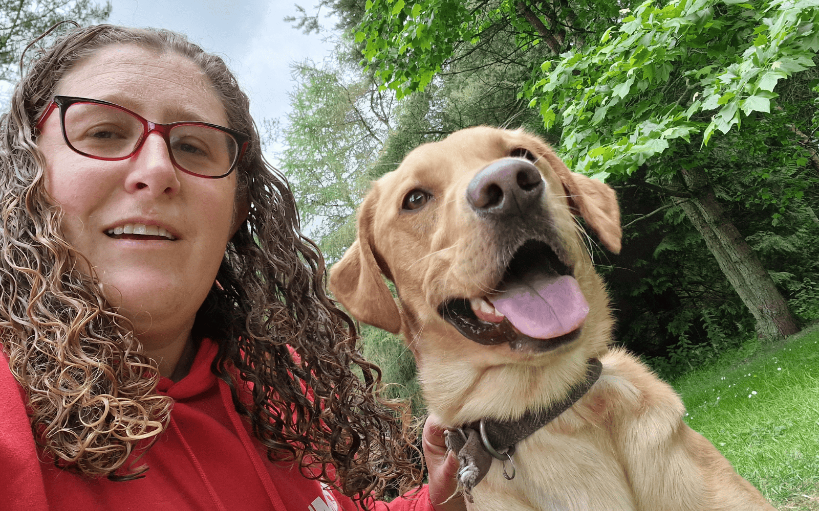 The Vet Says Rest Why Dogs Don’t Always Need Walks Every Day with Laura Carter IMDT