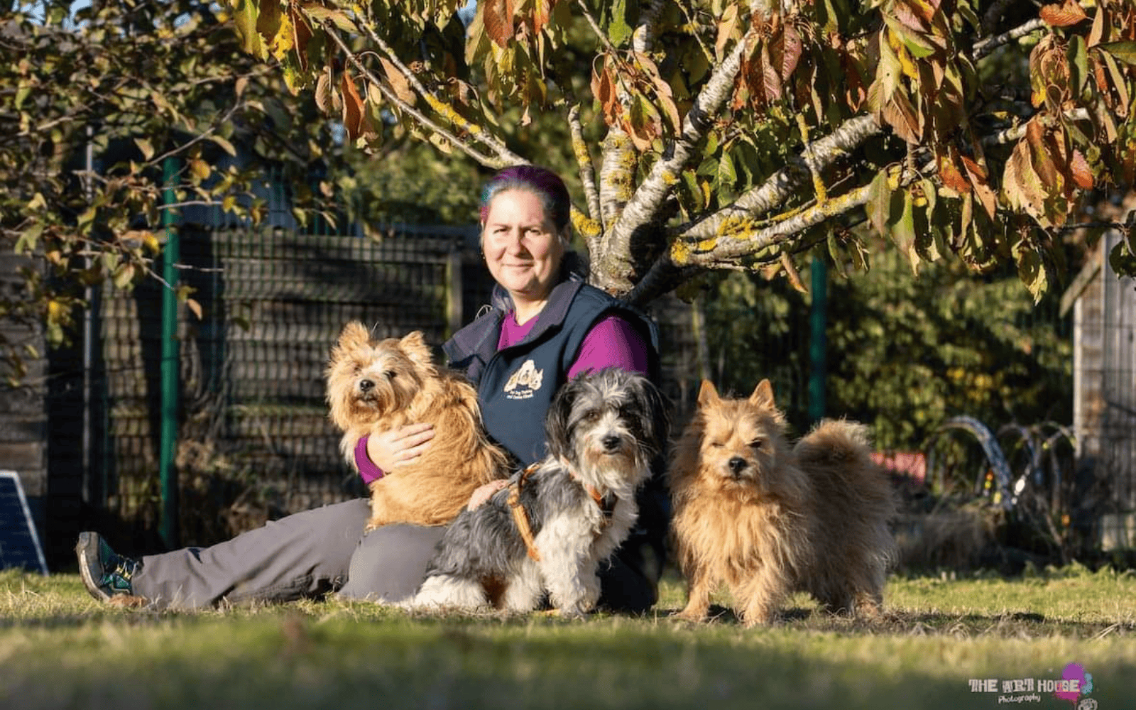 20 Years in Dog Training What Canine Fitness, Chronic Illness and a Trick Duck Taught Joe Nutkins