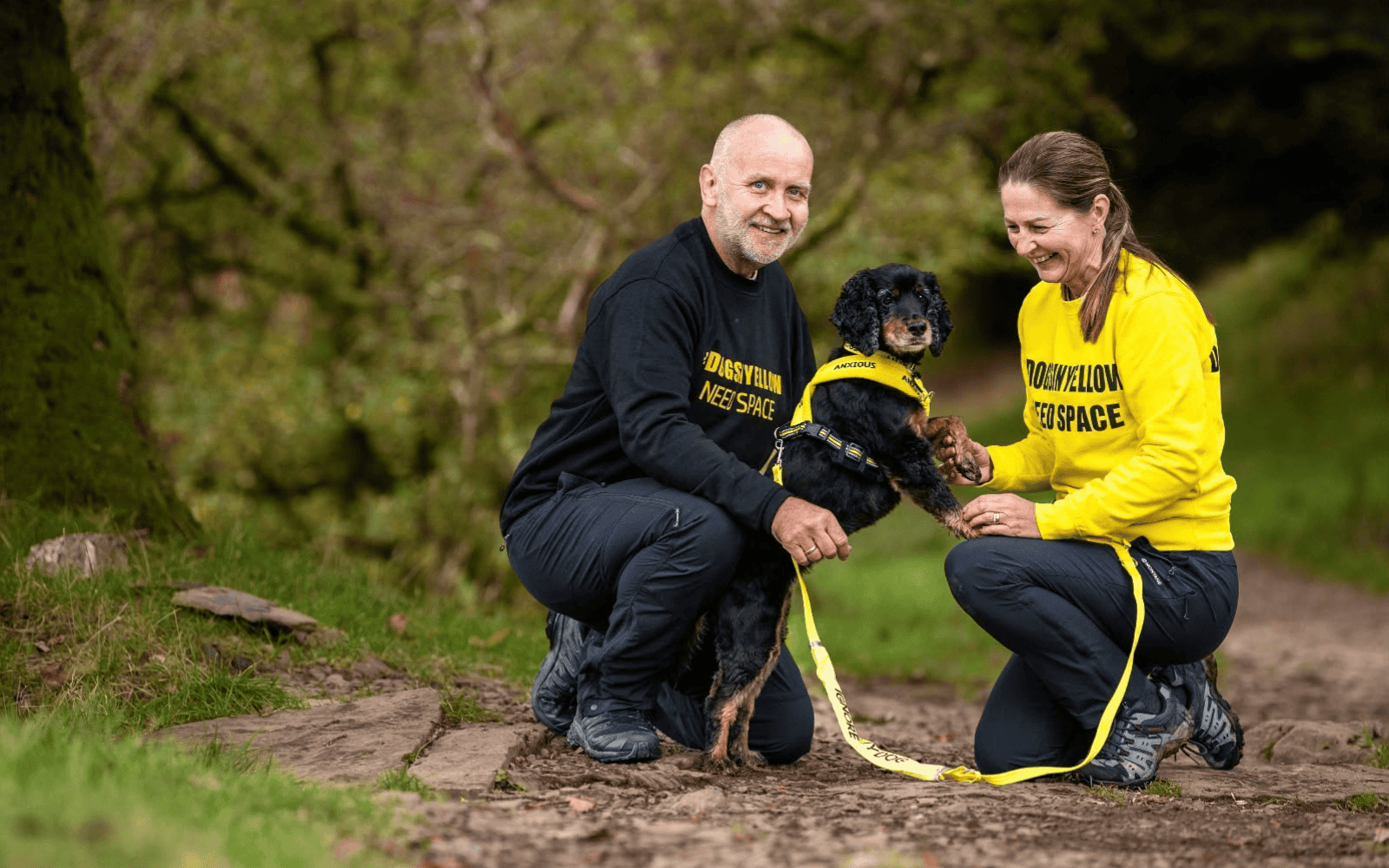Rebuilding After Trauma What Matt Jones Learned About Mental Health Purpose and My Anxious Dog Rebuilding After Trauma What Matt Jones Learned About Mental Health Purpose and My Anxious Dog