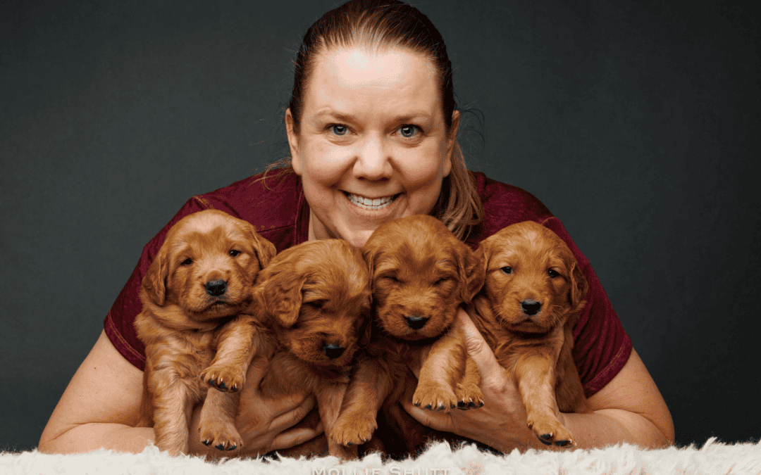 What Foster Parenting Taught a Dog Breeder About Trust, Connection & Sustainable Business | Heather Gibson