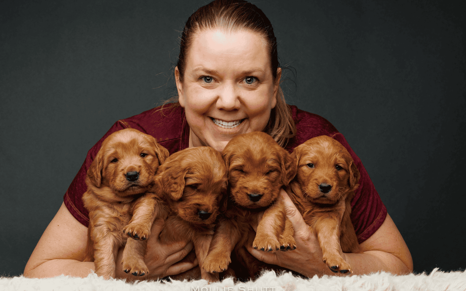 What Foster Parenting Taught a Dog Breeder About Trust, Connection & Sustainable Business | Heather Gibson What Foster Parenting Taught a Dog Breeder About Trust, Connection & Sustainable Business | Heather Gibson